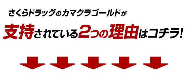 カマグラ 値段